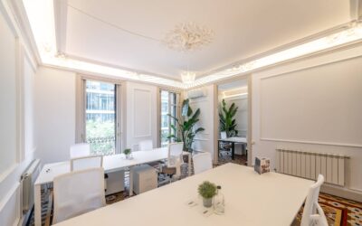 ¿Qué servicios exclusivos hay en un Centro de Negocios “Boutique”?